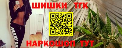 стафф Лесосибирск
