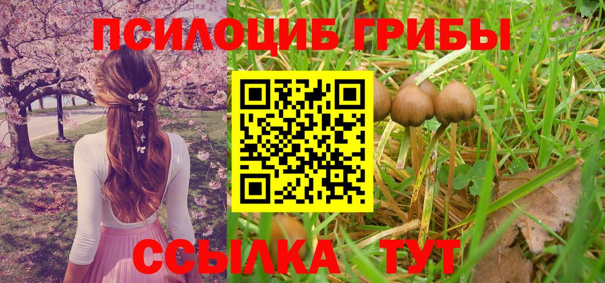 Псилоцибиновые грибы GOLDEN TEACHER  Вход с VPN  Галлюциногенные грибы MAGIC MUSHROOMS  Йошкар-Ола 