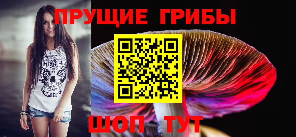 Галлюциногенные грибы Psilocybine cubensis Йошкар-Ола